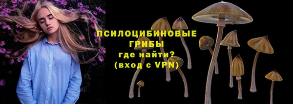 PSILOCYBIN Баксан